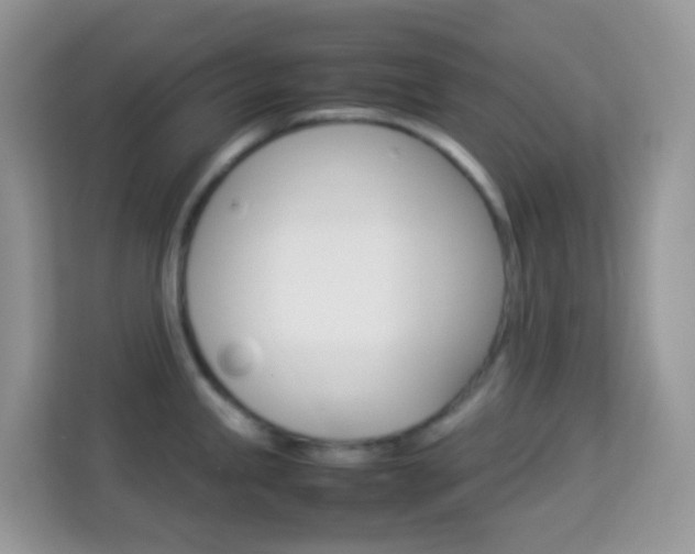 X0000114221245200910091042