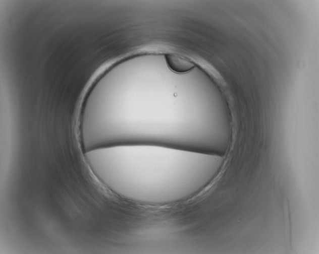 X0000114221248200910091042