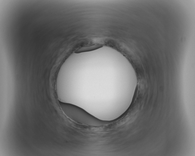 X0000114221249200910091042