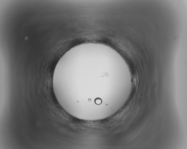 X0000114221251200910091042