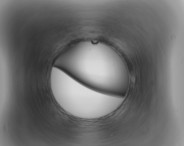 X0000114221252200910091042