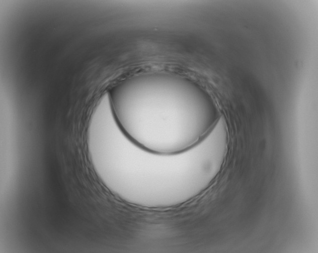 X0000114221253200910091042