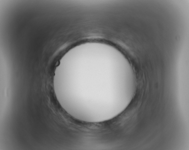 X0000114221255200910091042