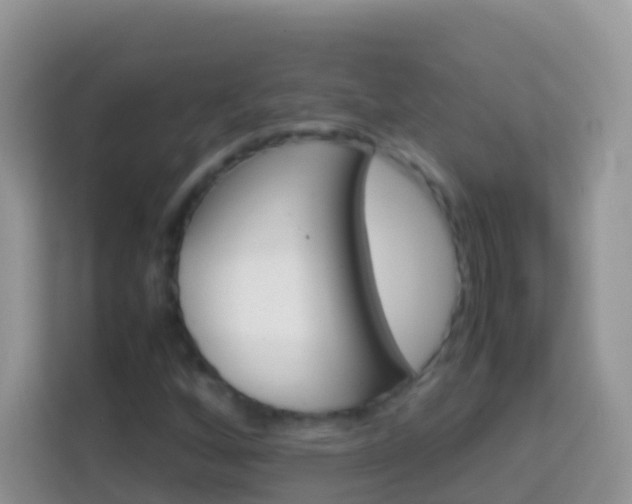 X0000114221256200910091042