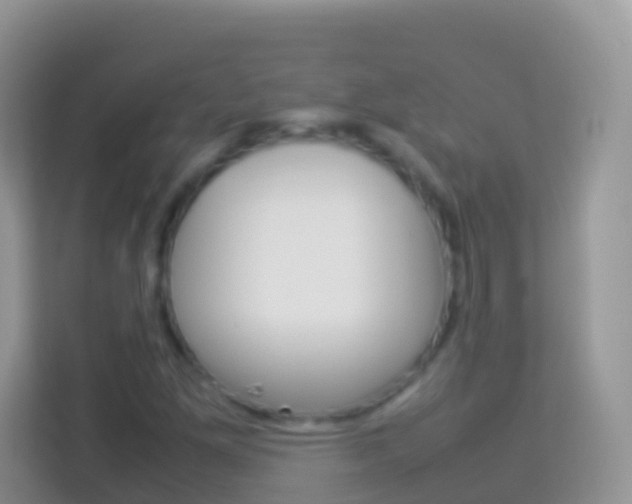 X0000114221261200910091042
