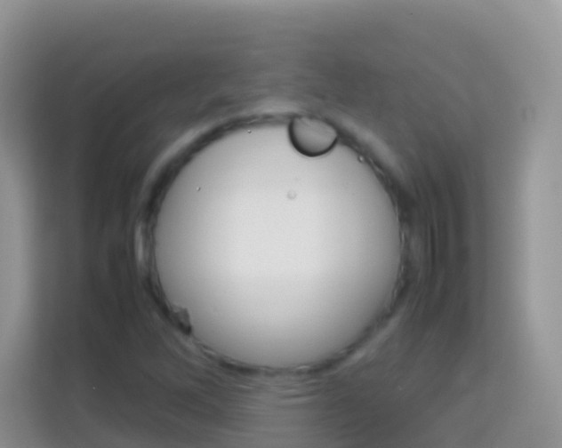 X0000114221262200910091042