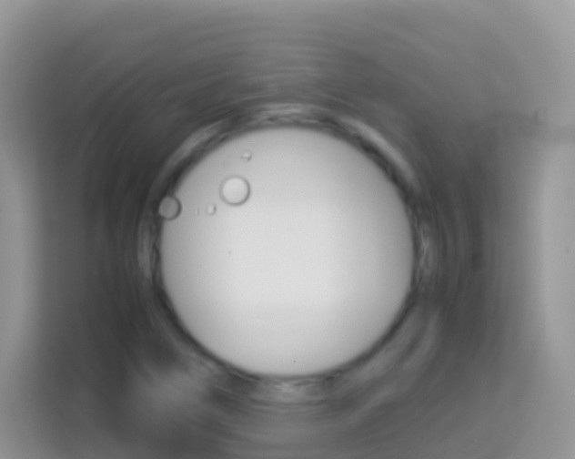X0000114221266200910091042
