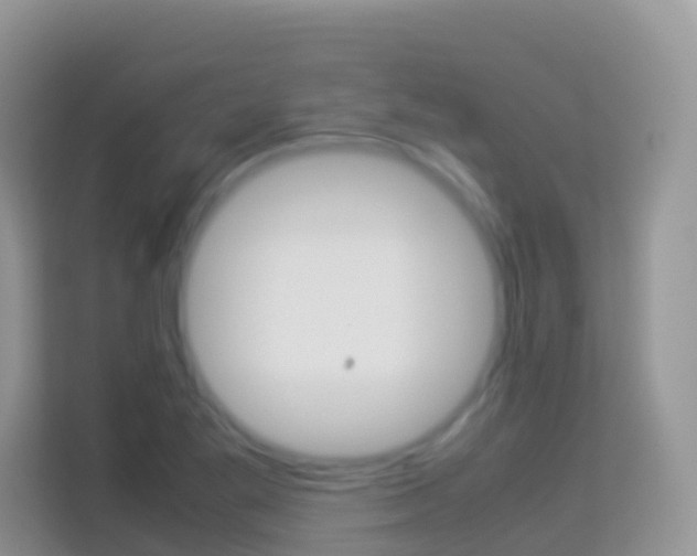 X0000114221269200910091042