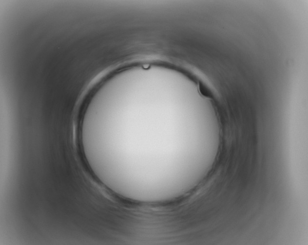 X0000114221270200910091042