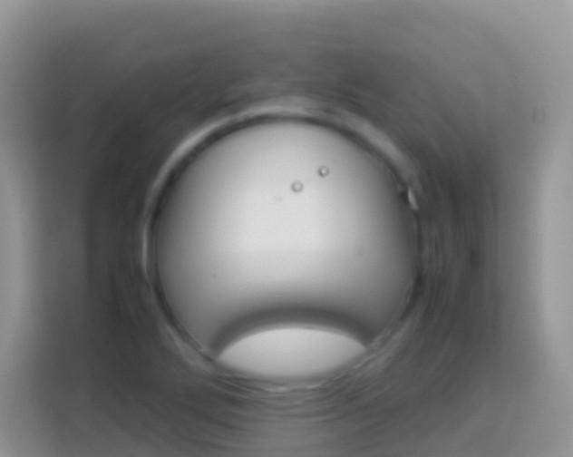 X0000114221272200910091042