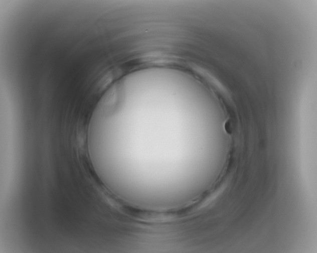 X0000114221273200910091041