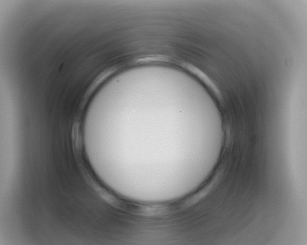 X0000114221274200910091041