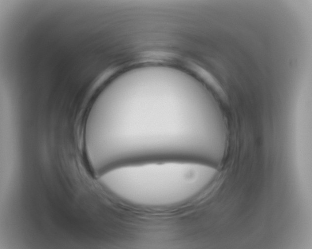 X0000114221275200910091041