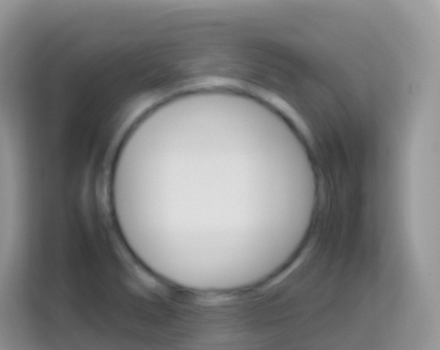 X0000114221278200910091041