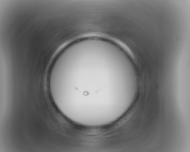 X0000114221279200910091041