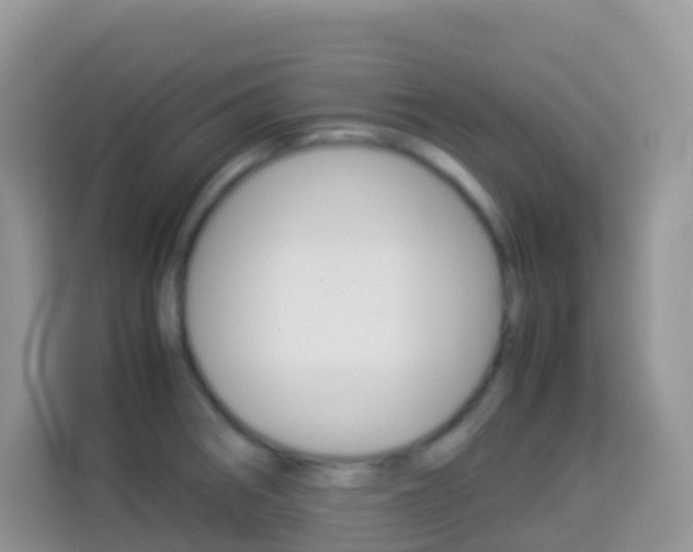 X0000114221282200910091041