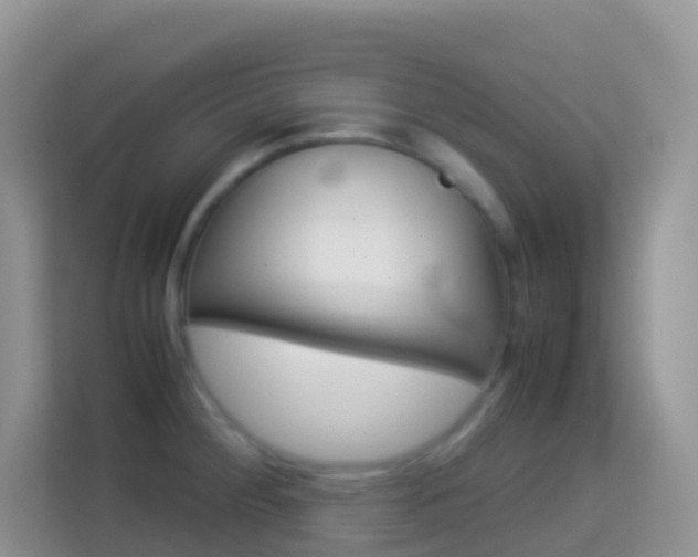 X0000114221284200910091041