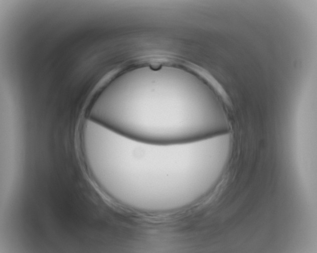 X0000114221285200910091041