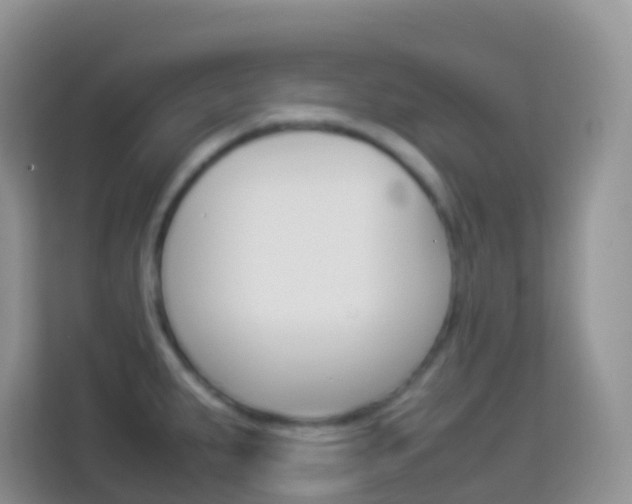 X0000114221287200910091041