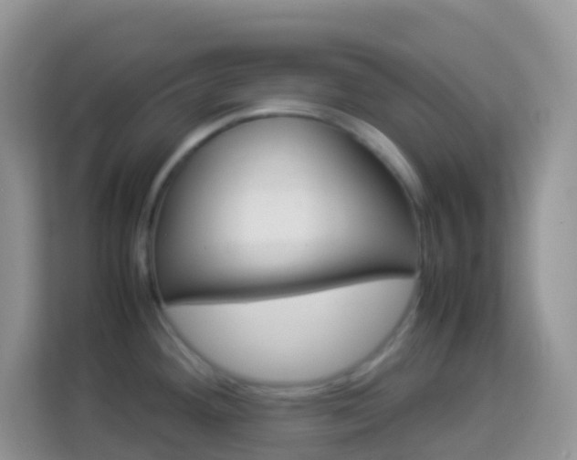 X0000114221292200910091041