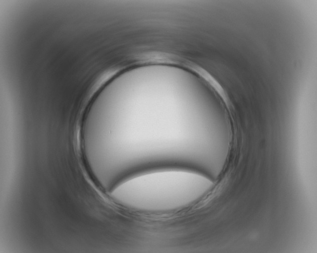 X0000114221293200910091041