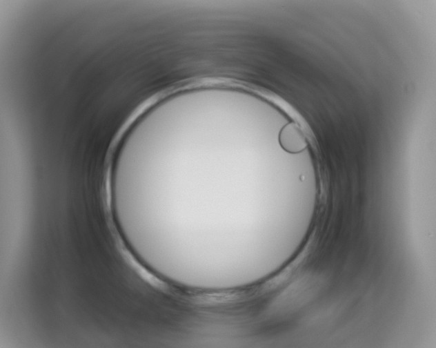 X0000114221294200910091041