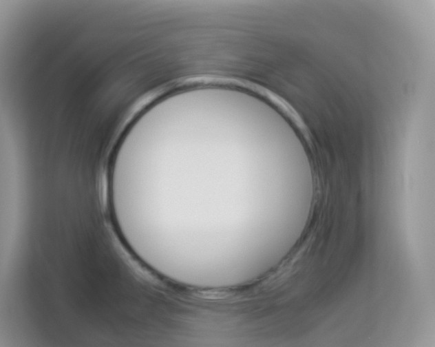 X0000114221295200910091041