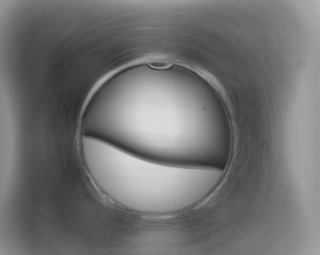 X0000114221296200910091041