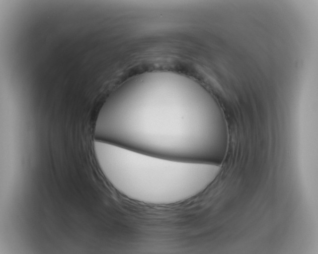 X0000114221298200910091041