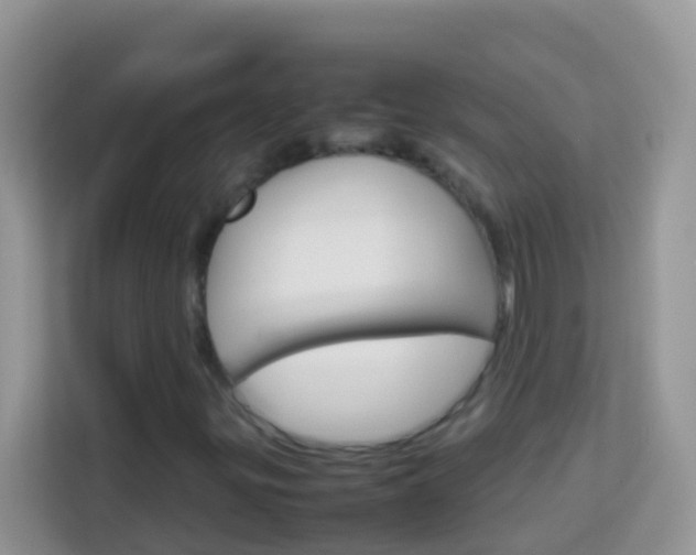 X0000114221299200910091041