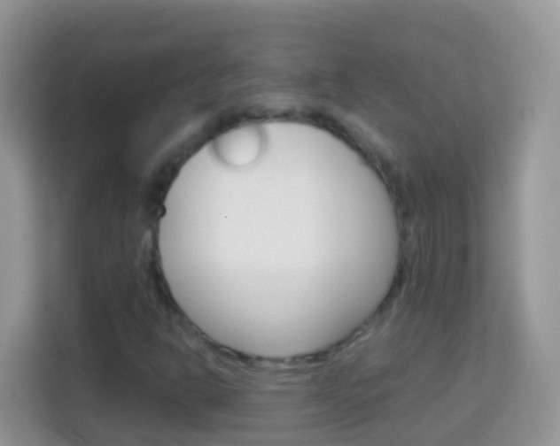 X0000114221302200910091041