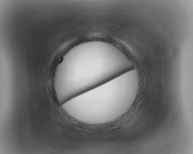 X0000114221303200910091041