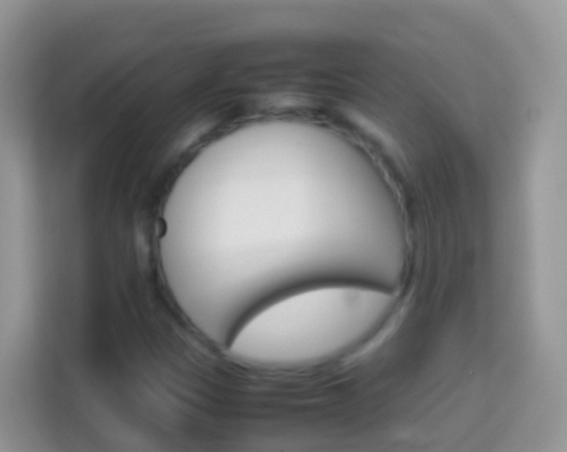 X0000114221305200910091041