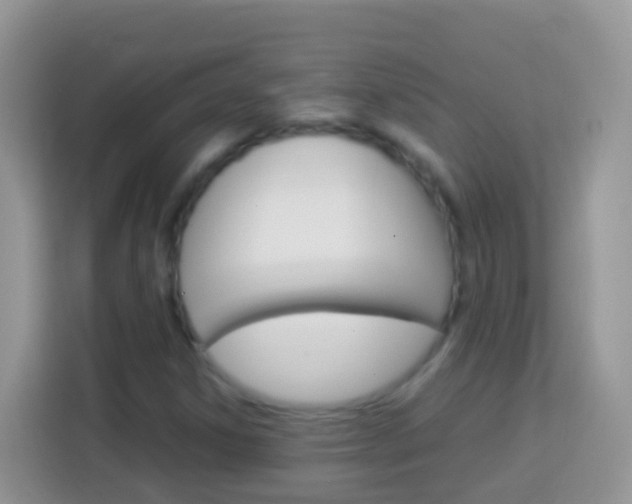 X0000114221306200910091041