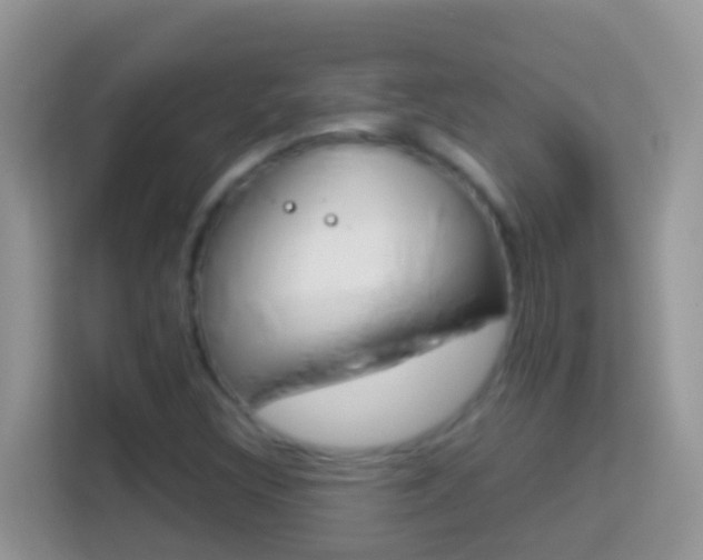 X0000114221308200910091041