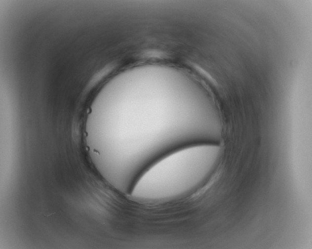 X0000114221309200910091041
