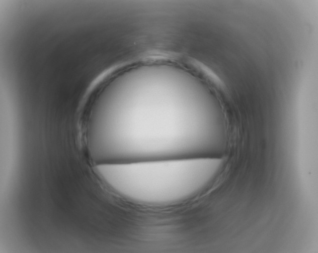 X0000114221310200910091041