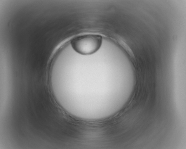 X0000114221312200910091041