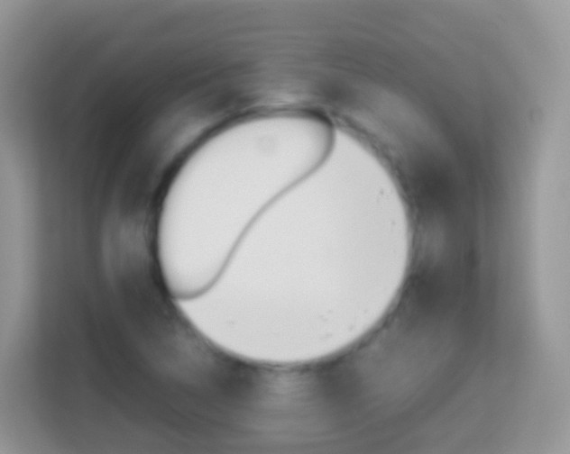 X0000114221314200910091041