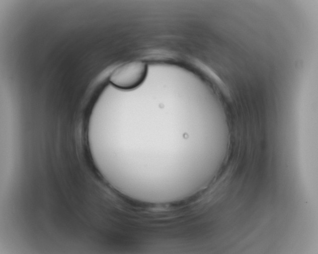 X0000114221315200910091041