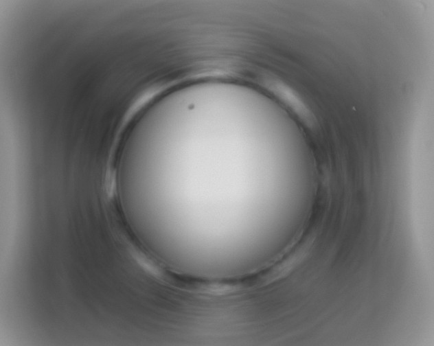 X0000114221324200910091041