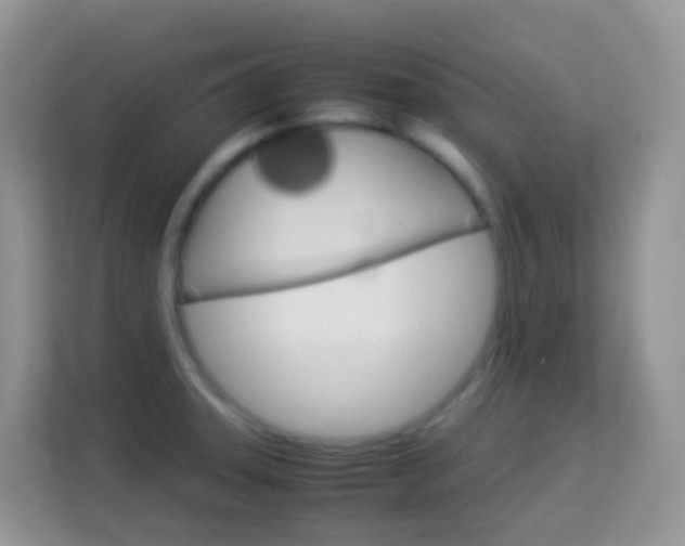 X0000114221331200910091041