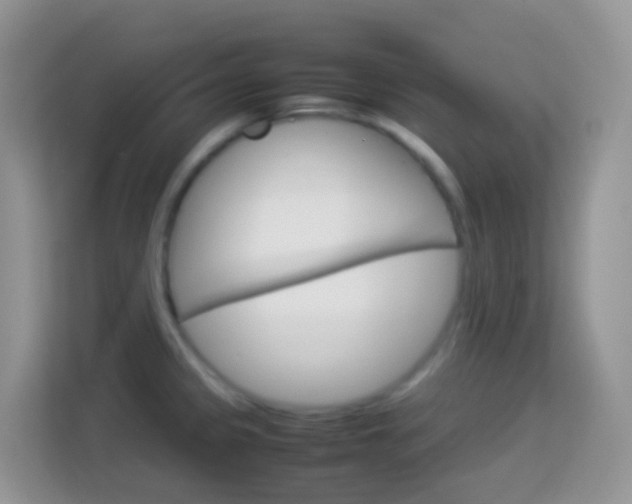 X0000114221333200910091041