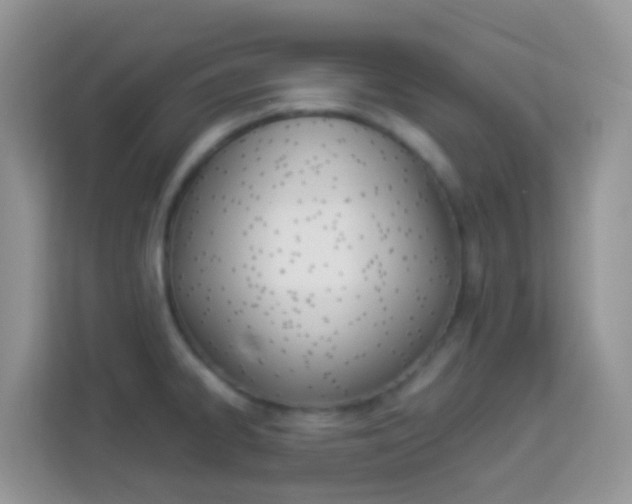 X0000114221334200910091041