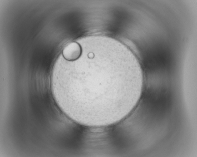 X0000114221338200910091041