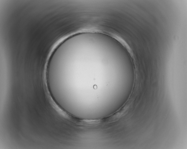 X0000114221344200910091041