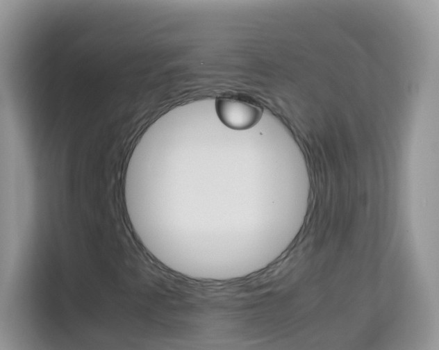 X0000114221345200910091041