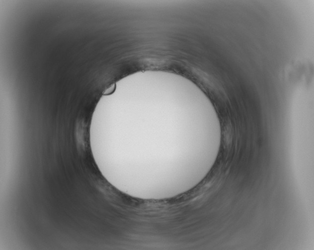 X0000114221346200910091041