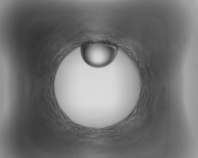 X0000114221349200910091041