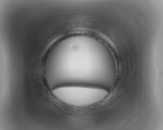 X0000114221352200910091040